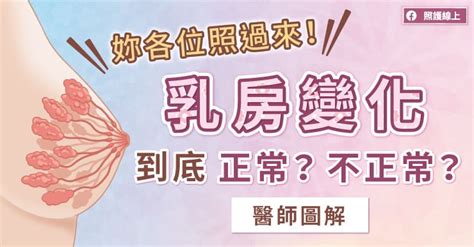 女人乳房|妳各位照過來！乳房變化到底正常？不正常？醫師圖解。